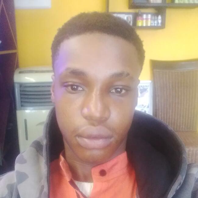 Babysitter in Blouberg (Western Cape): Joshua