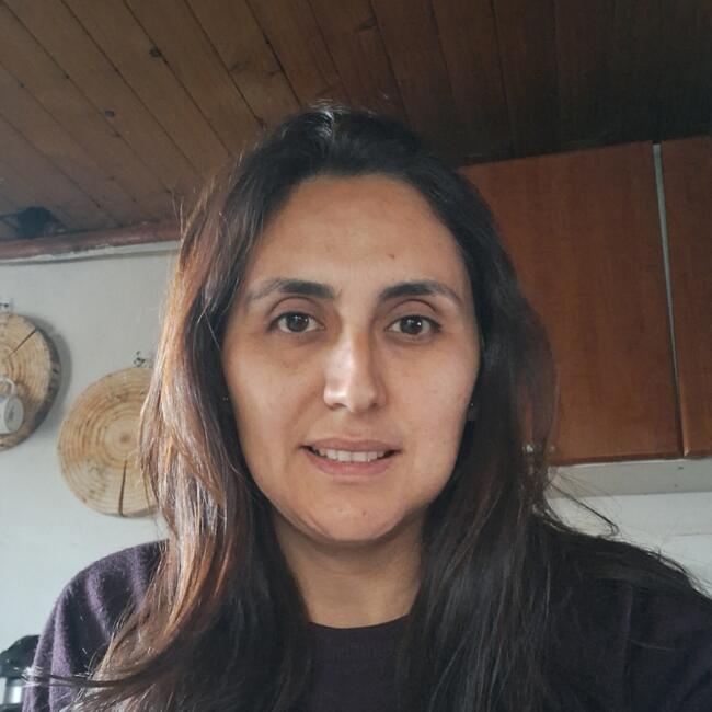 Niñera en Longaví: Elizabeth