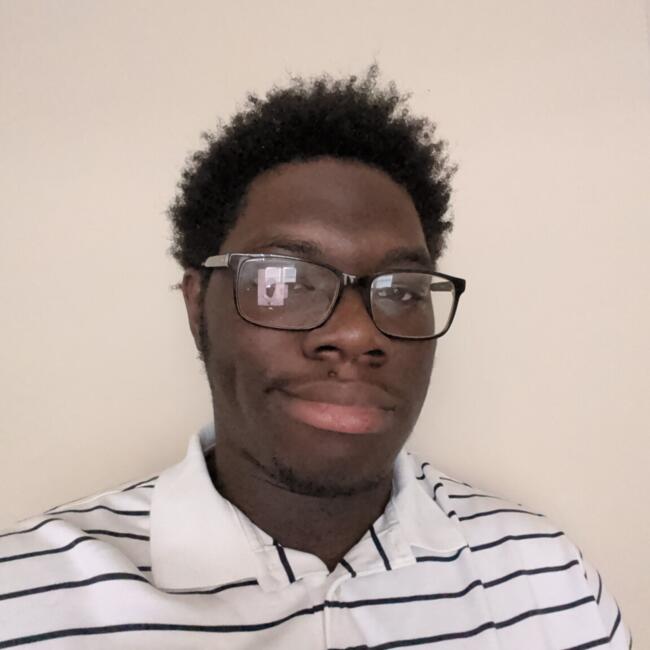 Babysitter in Madison (Alabama): Jayden