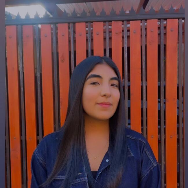 Babysitter in Temuco: Fernanda