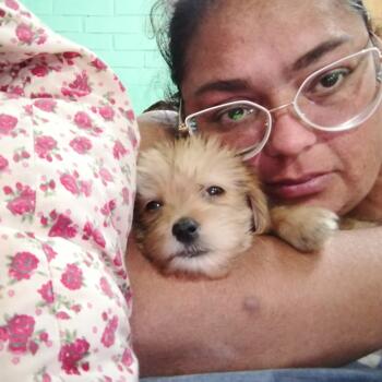 Babysitter in La Pintana: Paula