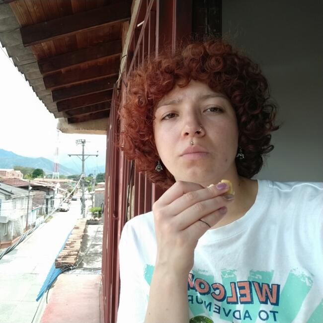 Babysitter στην περιοχή Μπογκοτά: Alejandra