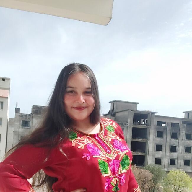 Babysitter in Bahadurgarh: Bhavika