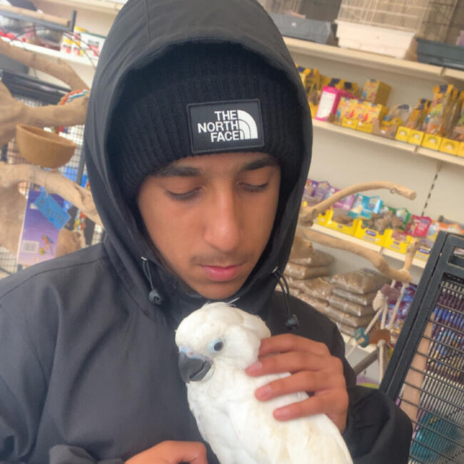 Babysitter in Harrow on the Hill: Ahmed