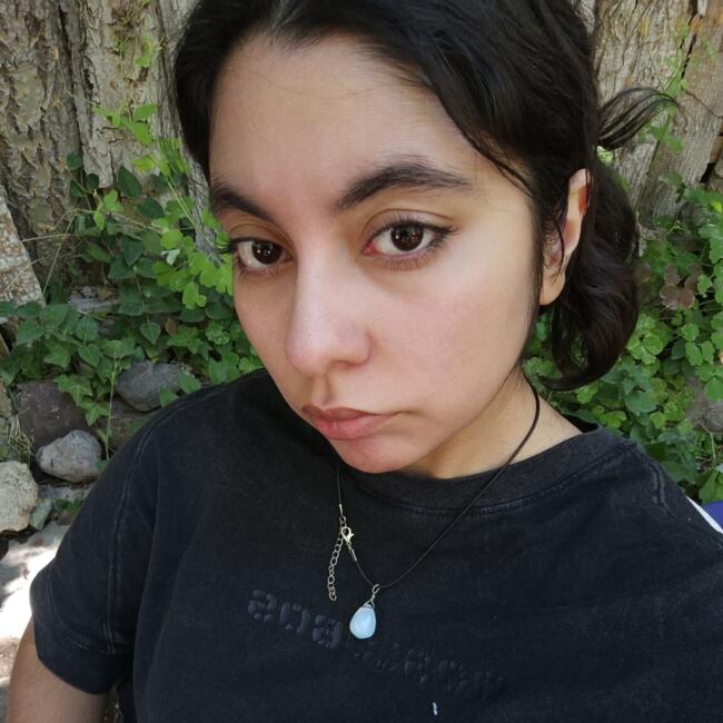 Babysitter in Puente Alto: Catalina