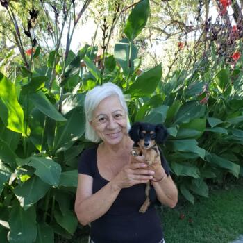 Niñera en Ciudad de Río Cuarto: Susana