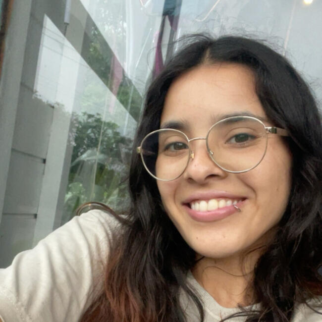 Babysitter in Florianópolis: Brisa