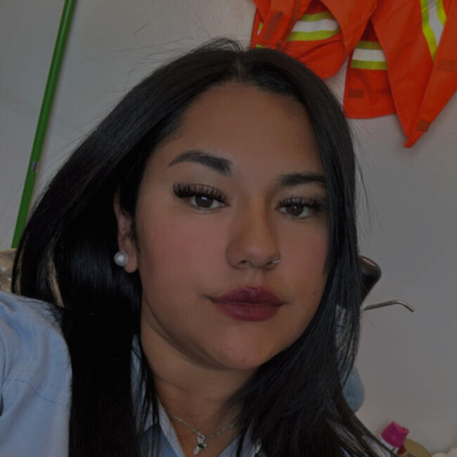 Trabajo para niñera en Antofagasta: Noemi