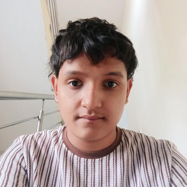 Babysitter in Bengaluru: Pavan