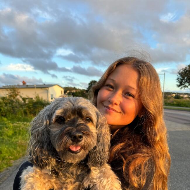 Babysitter in Mijas: Alicia