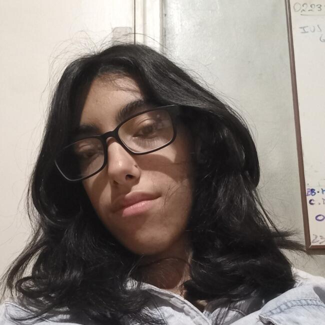 Babysitter in Mendoza: Nicole
