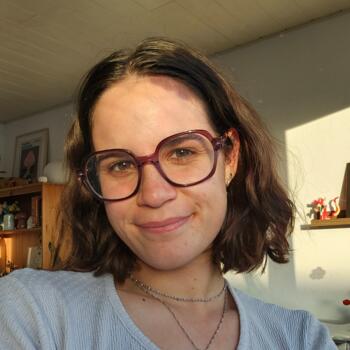 Babysitter in Billère: Diane