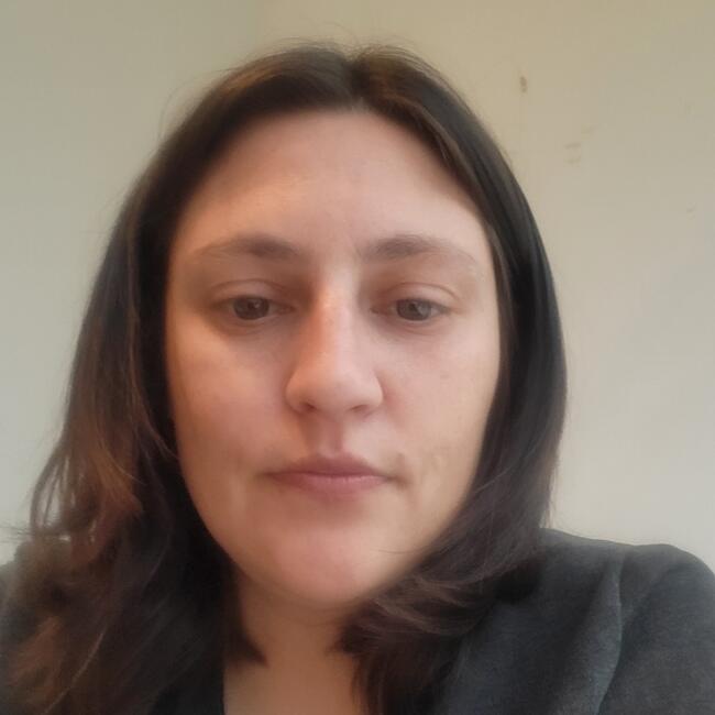 Babysitting job in Hamilton: Alisha