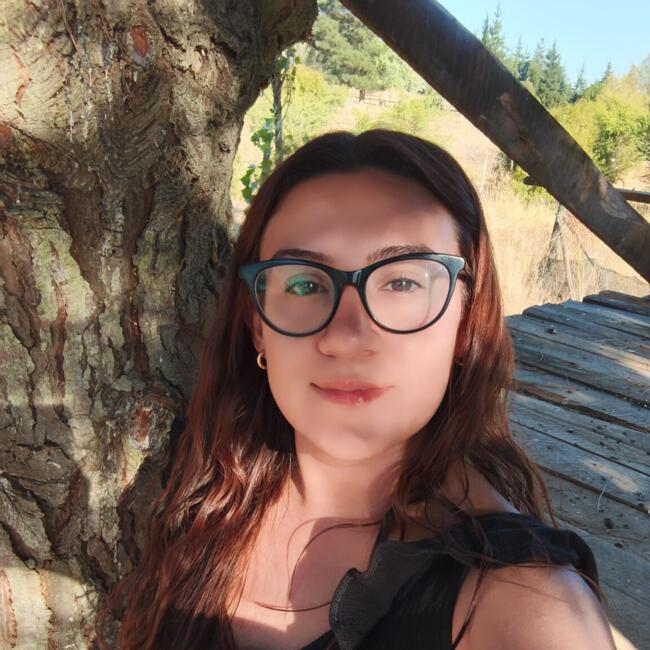 Niñera en Maipú: Darling Cid