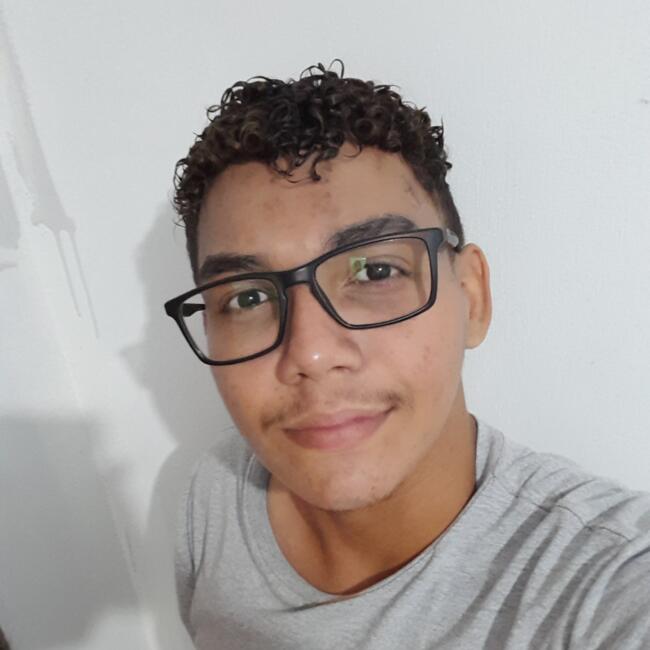 Babysitter in Santa Maria do Pará: Erlan