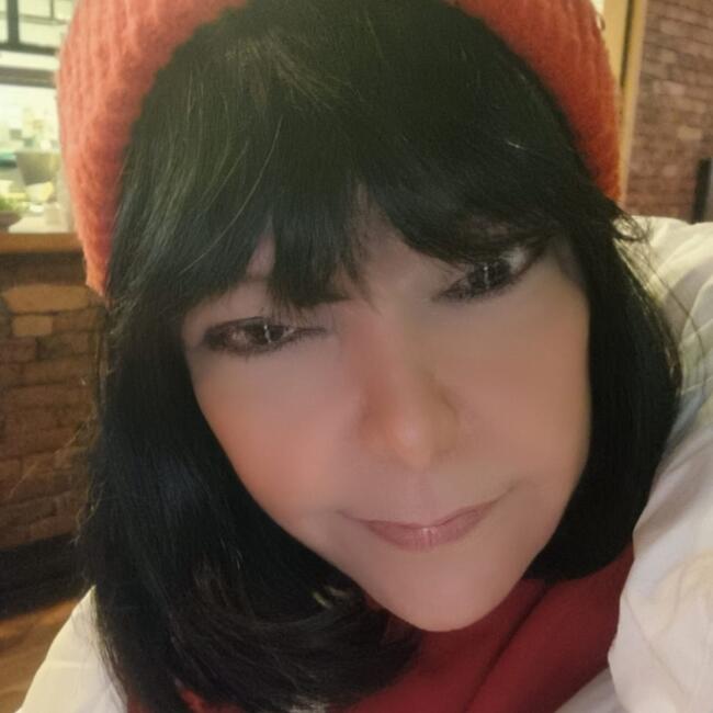 Babysitter in Puerto Varas: Karina