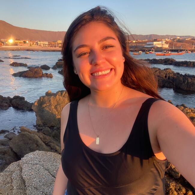 Babysitter in Iquique: Mabel