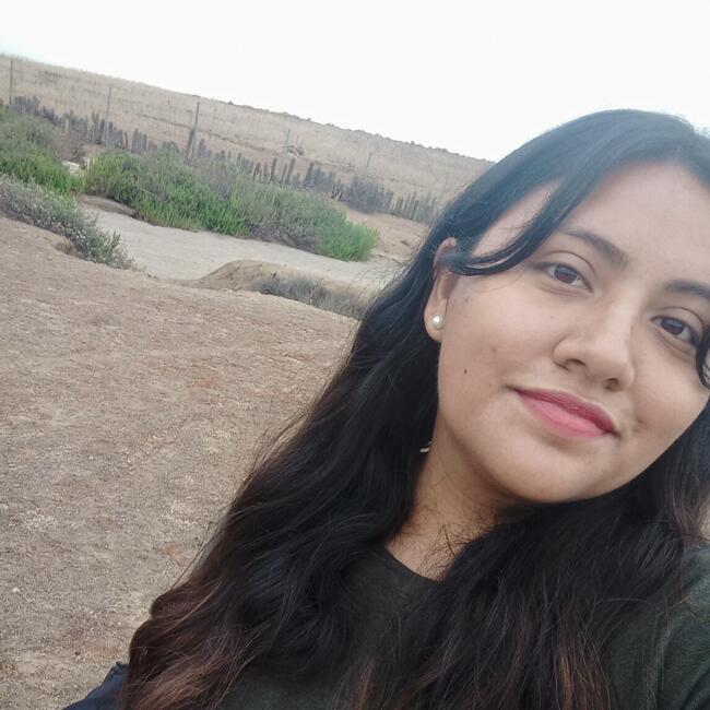 Babysitter in Ovalle: Dámaris