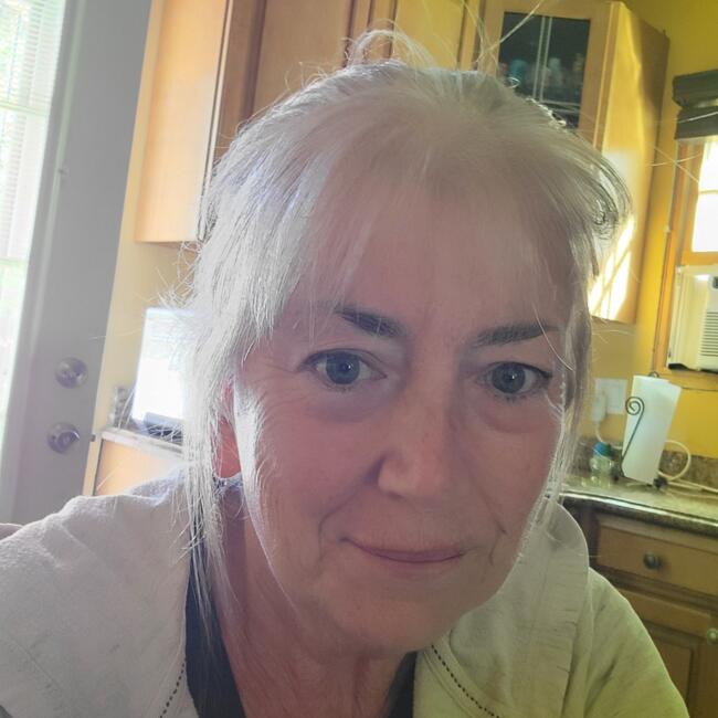 Babysitter in Farmingville: Karen