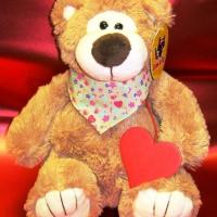 Assistante maternelle Limerick (Leinster): Alina