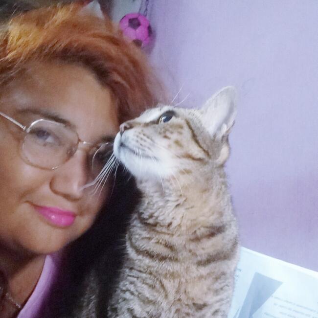 Babysitter in Belém: Lore