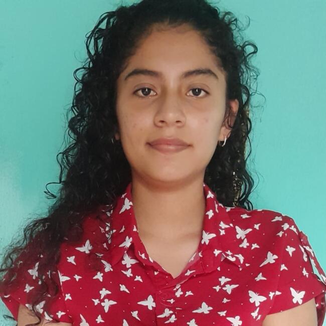 Babysitter in Panama City: Dayanis