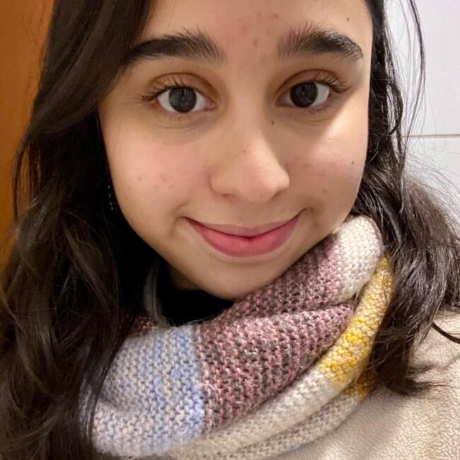 Babysitter in Temuco: Genesys