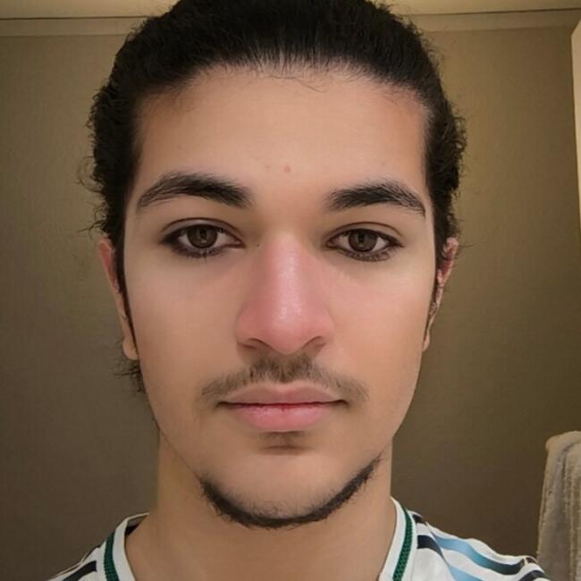 Babysitter in Villeurbanne: Ilyes