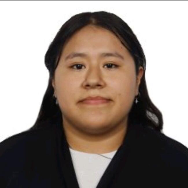 Niñera en Comas (Departamento de Lima): Nadia