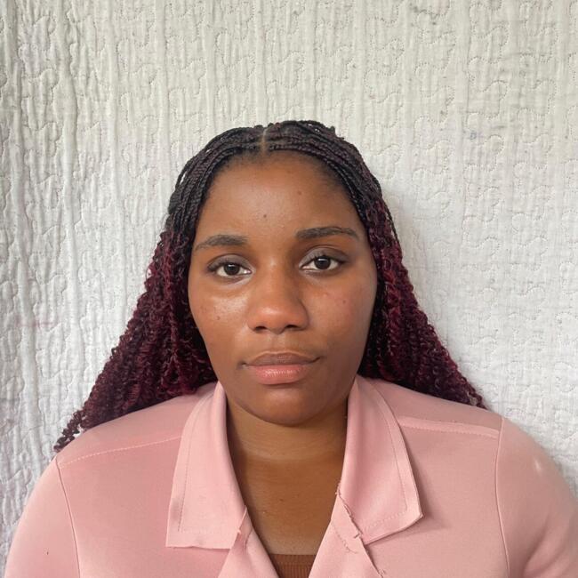 Babysitting job in Arapongas: Azenaida