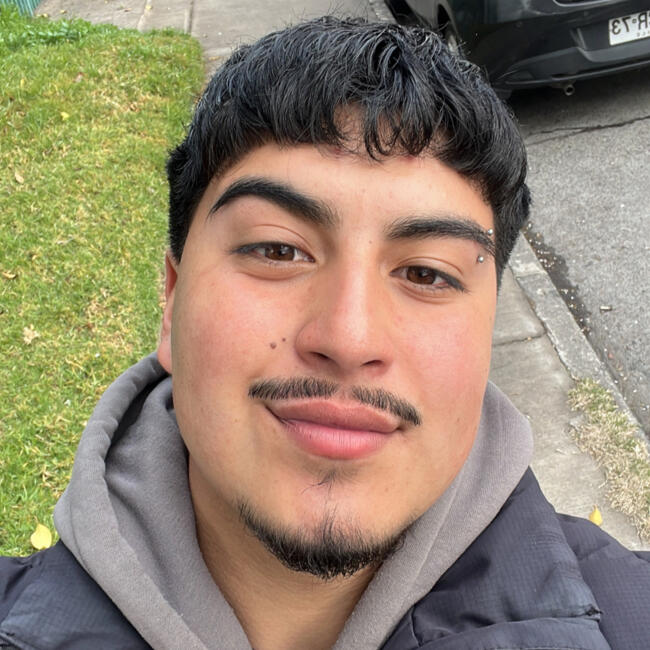 Niñera en Santiago de Chile: Vicente alfonso vargas beas