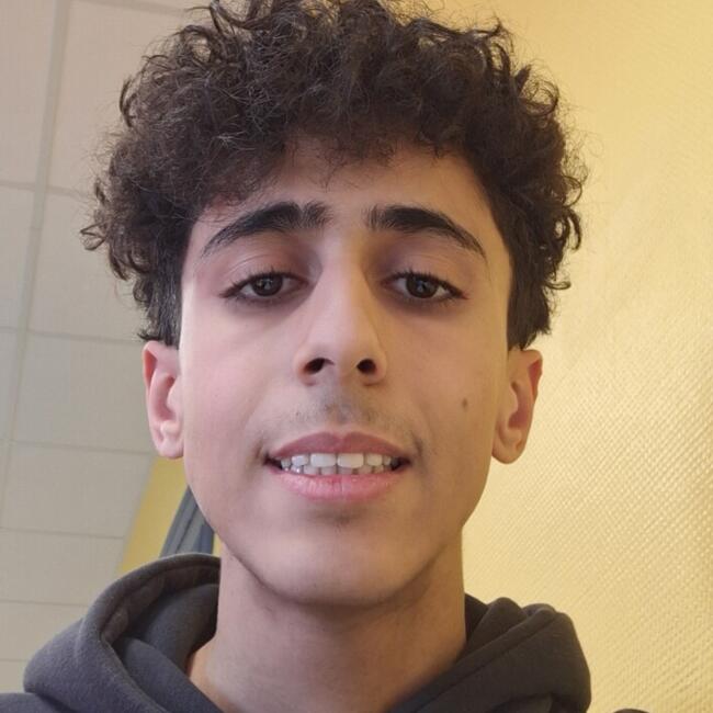 Babysitter in Ronchin: Anas