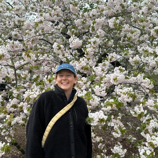 Babysitter in Brisbane: Eloise