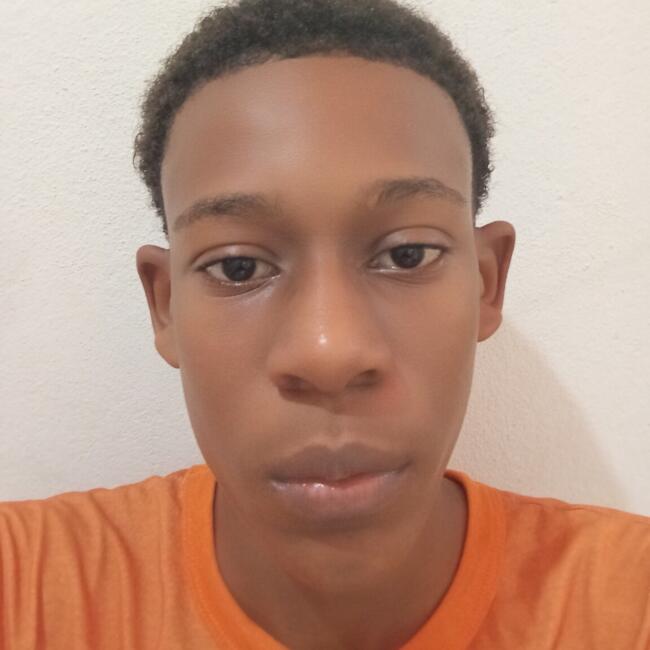Emprego de babá em Cruz das Almas (Bahia): Tatico