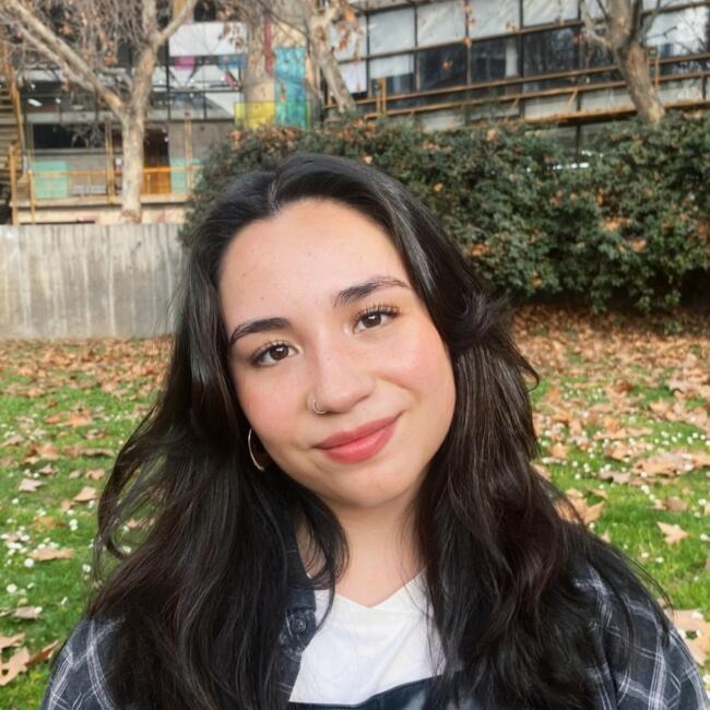 Niñera en Santiago de Chile: Pristina