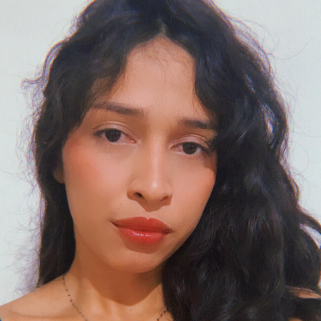 Babysitter in Juiz de Fora: Larissa