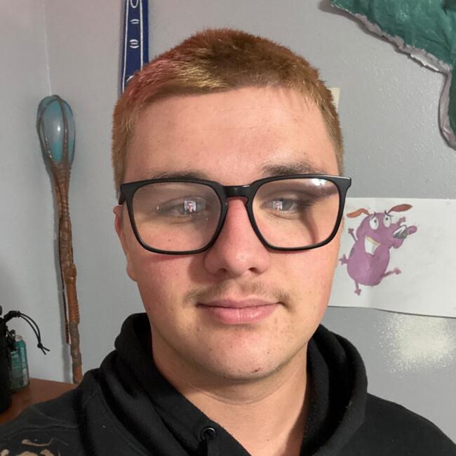 Babysitter in Spring Hill (Florida): Jamey