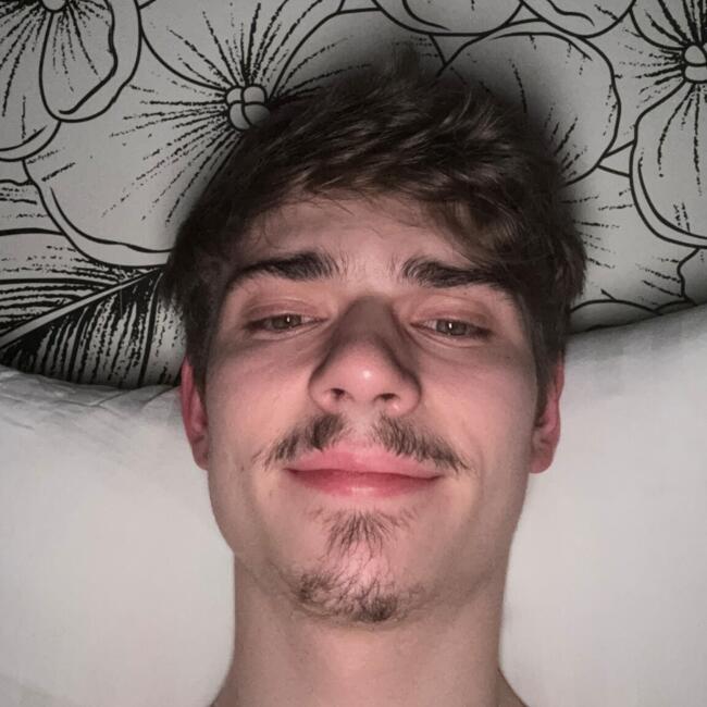 Babysitter in Cholet: Esteban