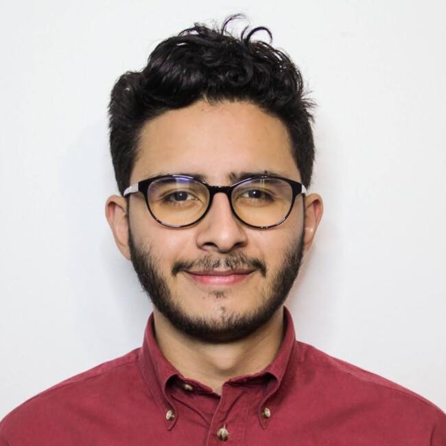 Babysitting job in Chihuahua City: David Alonso Rodríguez Ruiz