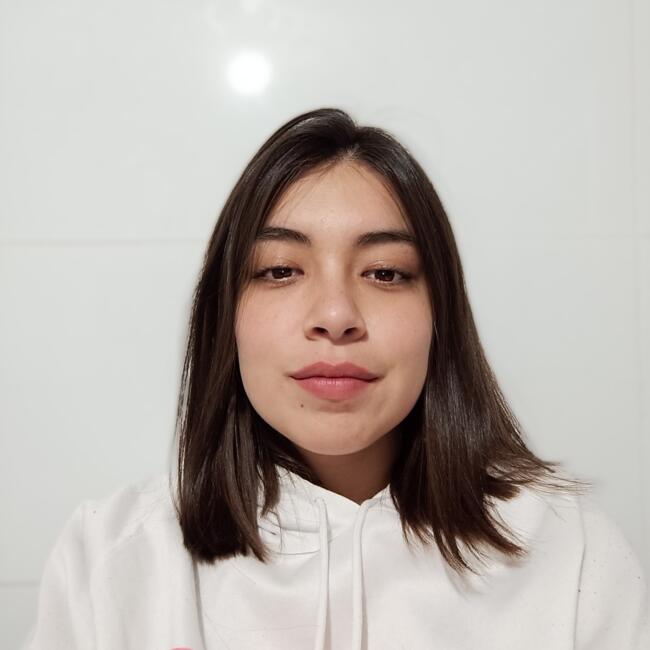 Babysitter in Viña del Mar: Francisca Belén