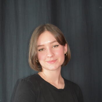 Baby-sitter à Landaul: Romane