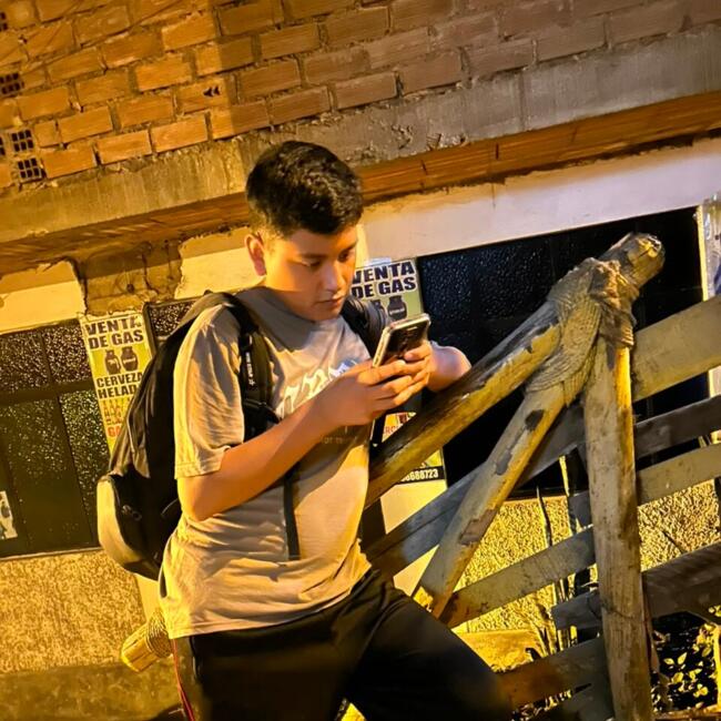 Niñera en San Juan de Lurigancho: Erik