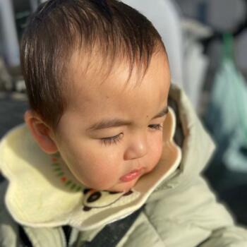 Babysitting job in Tarragona: babysitting job 梦飞