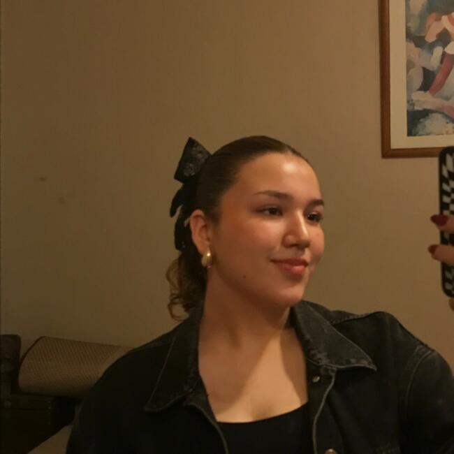 Niñera en Santiago de Chile: Renata