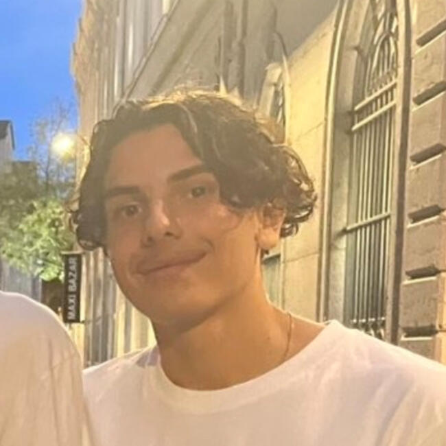 Babysitter in Lyon: Arthur