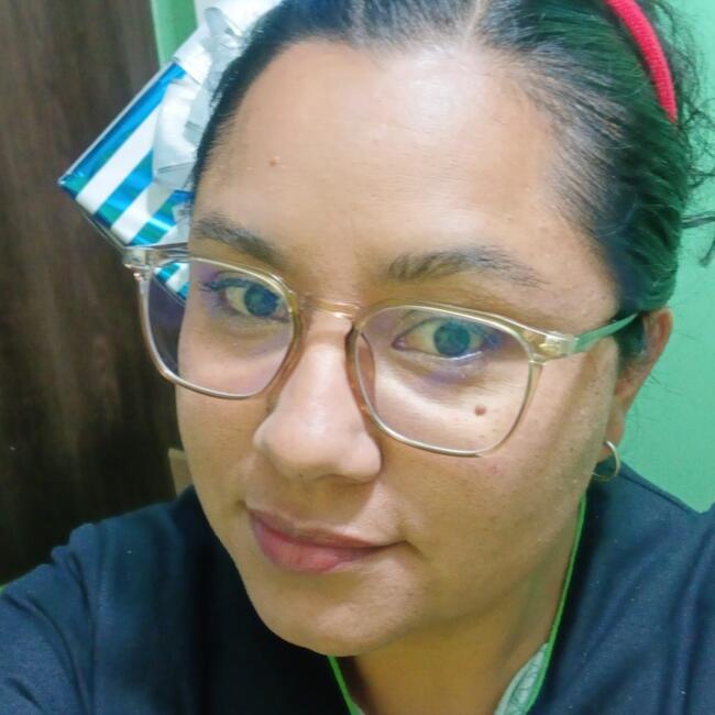 Babysitter in San Mateo Atenco: Rosalba