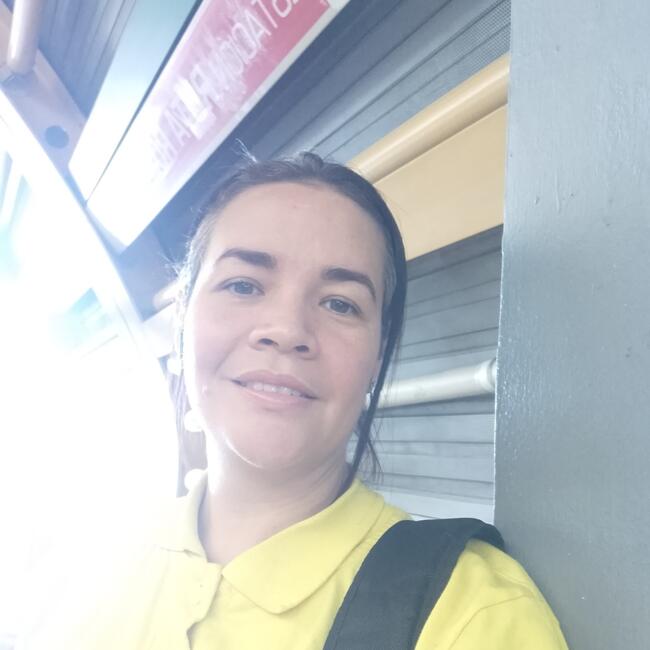 Babysitting job in Santiago: Astrid