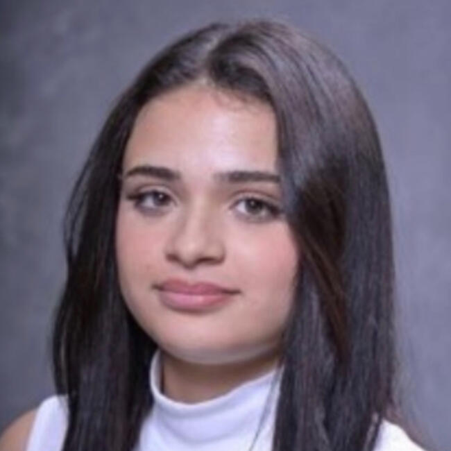 Babysitter in Angers: Nibel