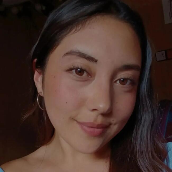 Babysitter in Concepción: Natalia