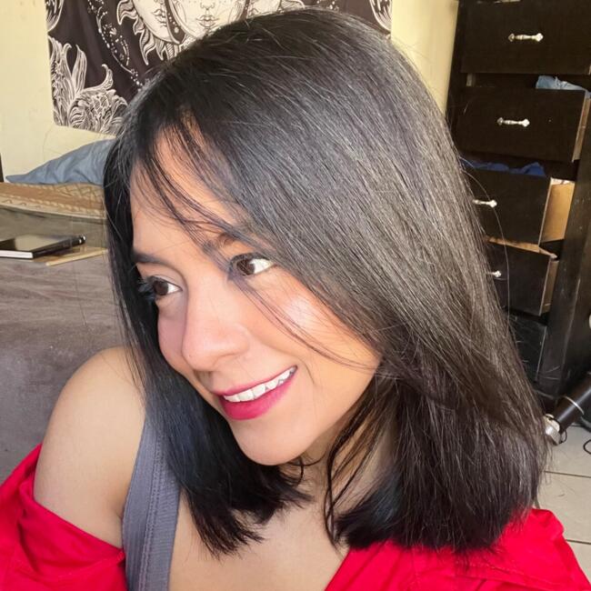 Babysitter in Saltillo: Lizbeth